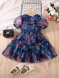  | SHEIN Toddler Girls Floral Print Puff Sleeve Ruffle Hem Belted Organza Dress | Dress | Shein | OneHub
