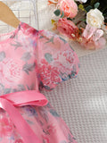  | SHEIN Toddler Girls Floral Print Puff Sleeve Ruffle Hem Belted Organza Dress | Dress | Shein | OneHub