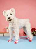  | SHEIN 4pcs Heart Pattern Pet Socks | Dress | Shein | OneHub