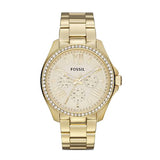 Fossil Cecile Gold Stainless Steel Silver Dial Quartz Watch for Women - AM4510