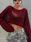  | SHEIN DAZY Hollow Out Round Neck Drop Shoulder Oversize Crop Sweater,Long Sleeve Tops Summer Sheer | Top | Shein | OneHub