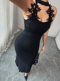 SHEIN Elenzga New Arrival Spring/Summer Casual Elegant Vacation Beach Party Halter Fitted Embroidered Lace Dress For Women, Black