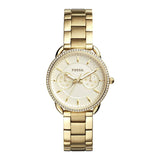  | Fossil Tailor Multifunction Gold Stainless Steel White Dial Quartz Watch for Women - ES4263 | Watches | Fossil | OneHub