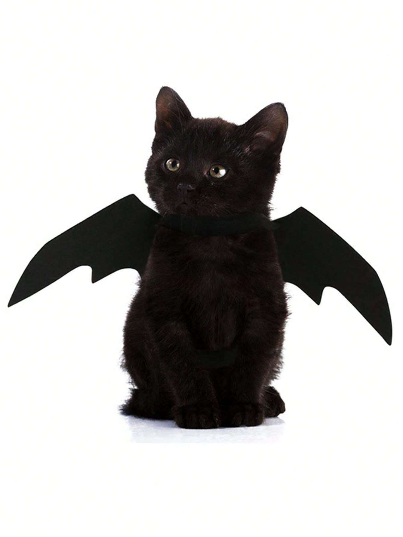  | SHEIN Pet Costume Bat Wings For Dogs And Cats, Black Color, Cool Halloween Bat Transformation Outfit | Dress | Shein | OneHub