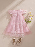 SHEIN Souflis Souflis Baby Girl Princess Style Apricot Embroidered Mesh Bow Dress