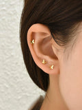 Shein 6pcs Butterfly Shaped Stud Earrings