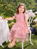  | SHEIN Toddler Girls Appliques Embroidery Mesh Overlay Butterfly Sleeve Dress | Dress | Shein | OneHub