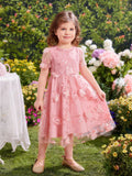  | SHEIN Toddler Girls Appliques Embroidery Mesh Overlay Butterfly Sleeve Dress | Dress | Shein | OneHub